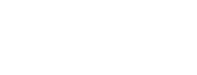 InfiXspeed